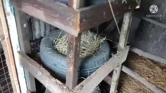 Гнёзда из автомобильных покрышек смотреть онлайн