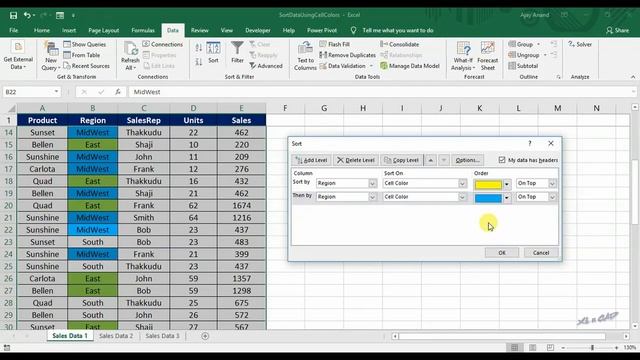 Sort Data Using Cell Color In MS Excel (Sort Conditionally Formatted Data)