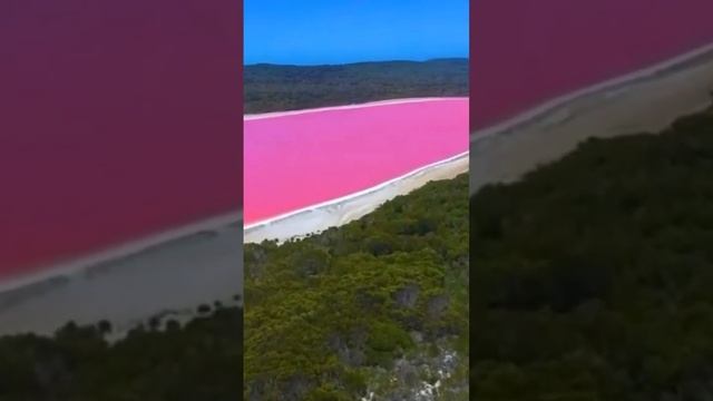 Хиллиер Озеро в Австралии смотреть онлайн