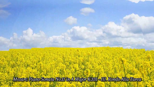 🚄Mozart: Piano Sonata No.11 in A Major K.331 - III. Rondo Alla Turca смотреть онлайн