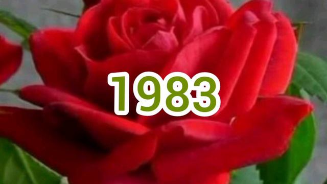 16/7/2022 Karunya Lottery Chance Number Nirmal Lottery Prize 1000, 500, 500, 100, 100 ,100 смотреть онлайн