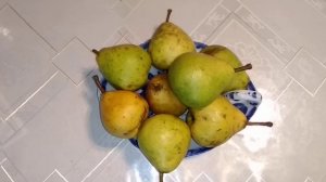 ☼Сорт груши Мраморная.