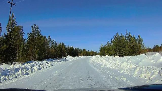 Видео охота на зайца смотреть онлайн