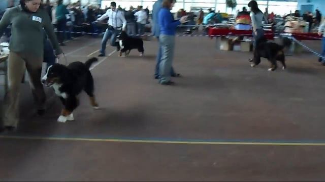 Выставка в Минске на ул. Даумана 23. Октябрь 2014. смотреть онлайн