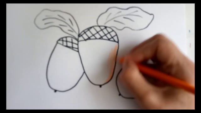 How to draw acorns. Как нарисовать желуди. смотреть онлайн
