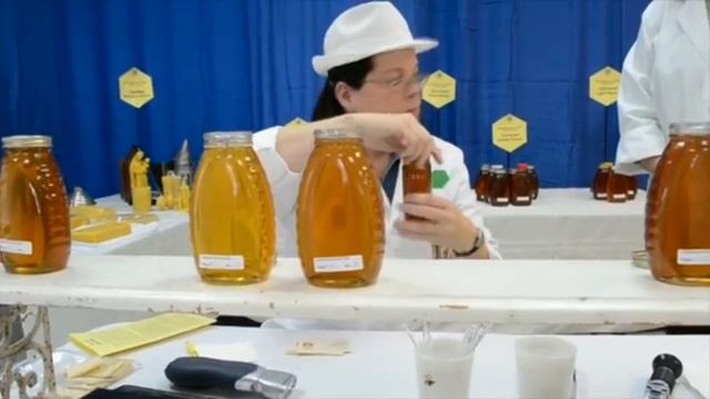 Международные стандарты судейства медовых конкурсов (Вирджиния Вебб, США) смотреть онлайн