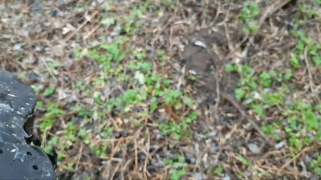 Коп. Открытие сезона,открытие нового места,хорошее начало сезона