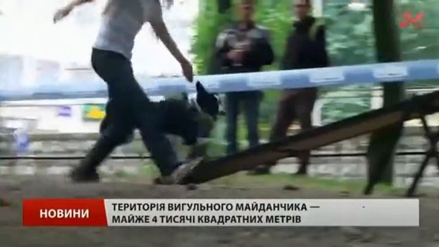 Территория счастливых собак (площадка для выгула) смотреть онлайн