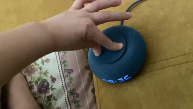 Капсула Маруся Мини