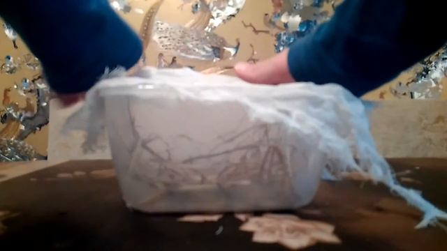 Как сделать перевозку для Хома смотреть онлайн