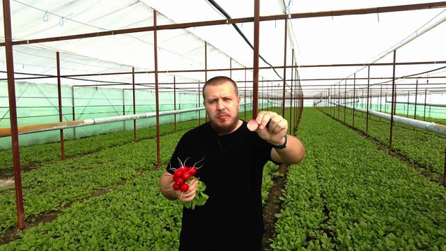 Опасные игрушки