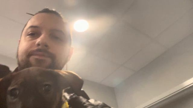 Первая прогулка с щенком Ксолоицкуинтли в 2 месяца без прививок. смотреть онлайн