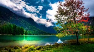 Молитва благодарности. Джозеф Мэрфи