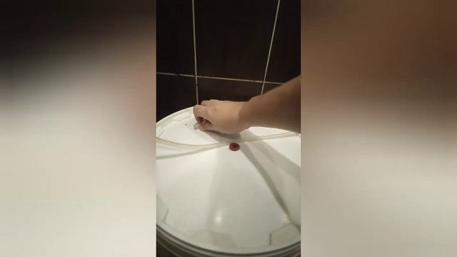 Бюджетный насос для перекачки вина/браги смотреть онлайн