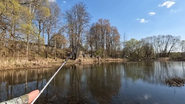 Маленький прудик РАЗДАЁТ! МОРМЫШИНГ ВЕСНОЙ! Рыбалка на спиннинг! смотреть онлайн
