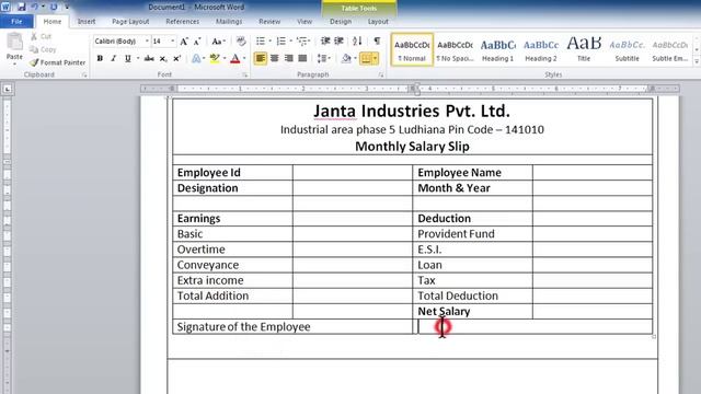 Unlimited Salary Slip Limited Company For Microsoft Excel And Ms Word Mail Marge смотреть онлайн