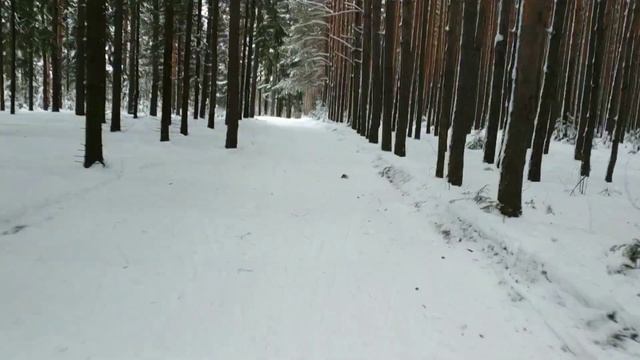 Fischer RCS 20/21. Тренировка. смотреть онлайн