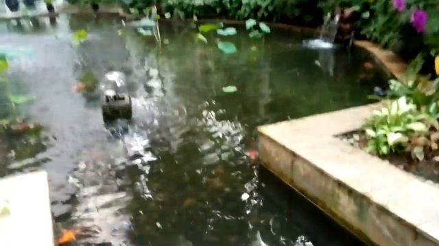 Malaysia. Hotel Shangri-La. Beautiful Garden. #garden #kualalumpur #Malaysia #shangrila #hotel