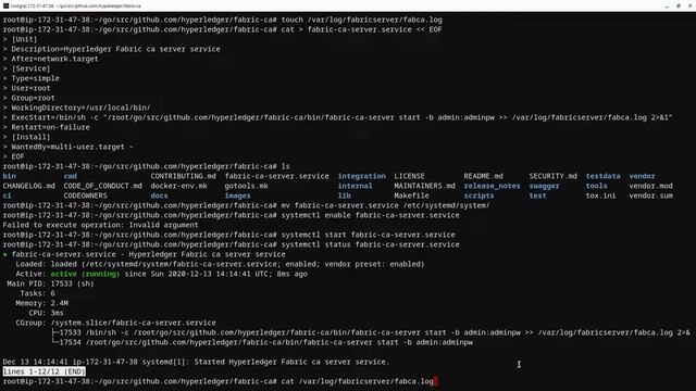 Install Fabric Certificate Authority (FabCA) & Install SoftHSM locally so you can configure PKCS11 смотреть онлайн