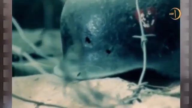 Герой Советского Союза Хусейн Андрухаев / Русские не сдаются смотреть онлайн