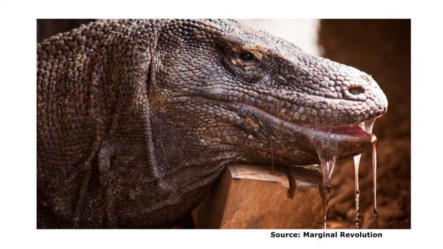 Megalania (Extinct Exhibition no.2) смотреть онлайн