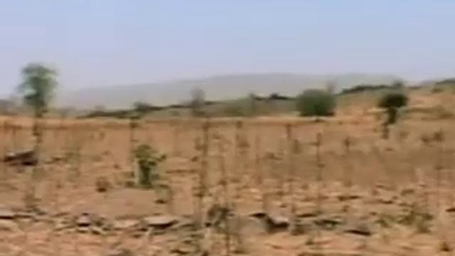 Эрозия почвы, пустыни.wmv