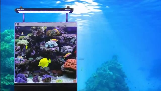 Aqua One | MiniReef 150 смотреть онлайн