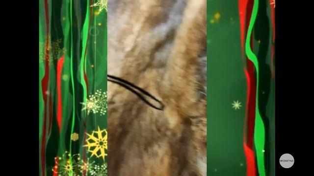 Как обновить шубу смотреть онлайн