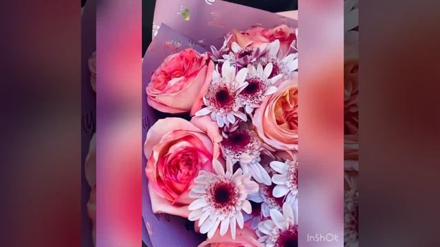 Букет «Афродита»Пионовидные розы с хризантемой смотреть онлайн