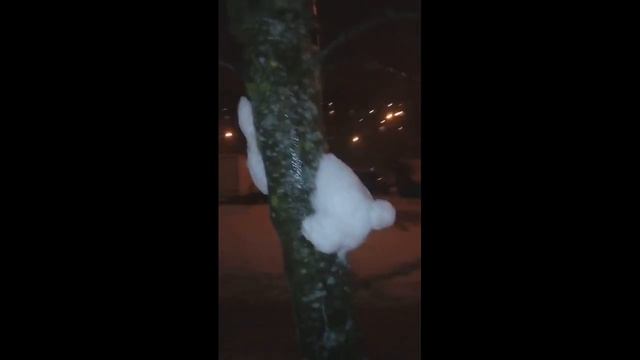 Заяц в дереве