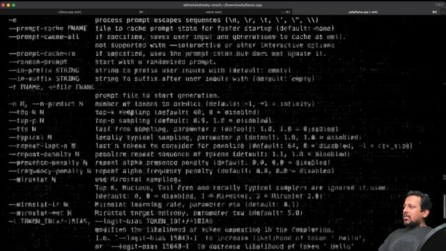 Run LLAMA-v2 chat locally смотреть онлайн