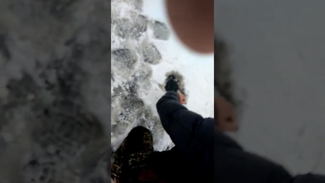 ПРОСТО ЖЕСТЬ!!!!!ЩУКА НА 16КГ ЕЛЕ ПРОЛЕЗЛА В ЛУНКУ НА 180мм смотреть онлайн