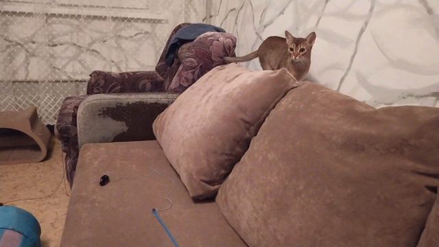 За подушкой кто-то есть!!! смотреть онлайн