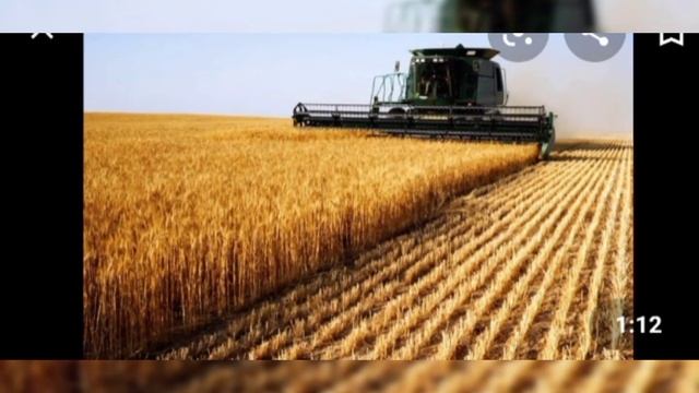 Алматинская область Уйгурский район село Бахар.дет.сад Нурлы болашак. смотреть онлайн