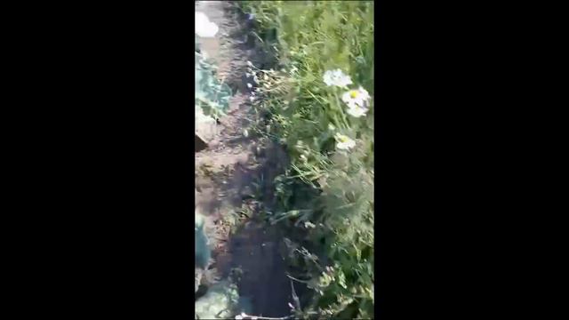 Последствия (вероятные) обстрела приграничной Ломаковки Стародубского района Брянщины_29072023 смотреть онлайн