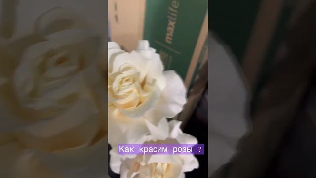 Как красим розы ? /#101роза #101пион #букет #доставкацветовмосква #россия #москва #цветы смотреть онлайн