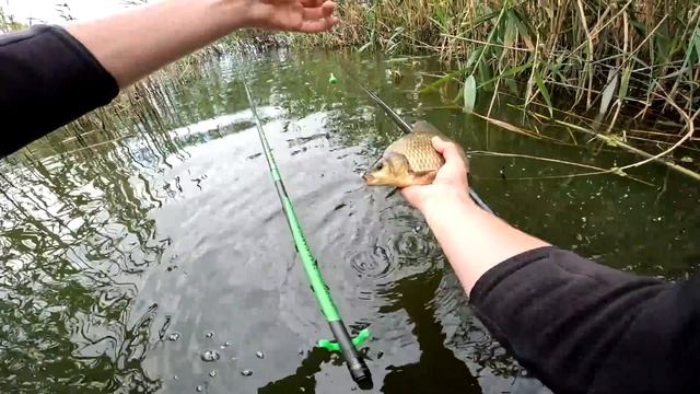 Лучшая Снасть Для Рыбалки В Камыше. Ловит Любую Рыбу! Теперь ловлю только так. Попробуйте! смотреть онлайн