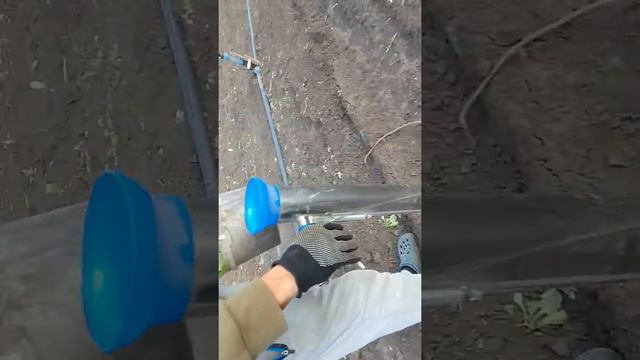 высадка рассады пистолетом "садовод " Польша" смотреть онлайн