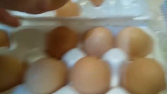 Яйцо от кур молодок породы Адлерская серебристая Вес и размер яйца смотреть онлайн