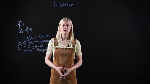 БИОЛОГИЯ 6 класс: Соцветия смотреть онлайн