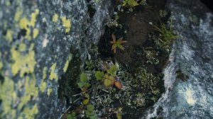 Легенды Южного Урала, Челябинская область