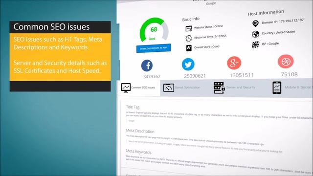 SEO Hunt One Click Web Analyzer - PHP script смотреть онлайн