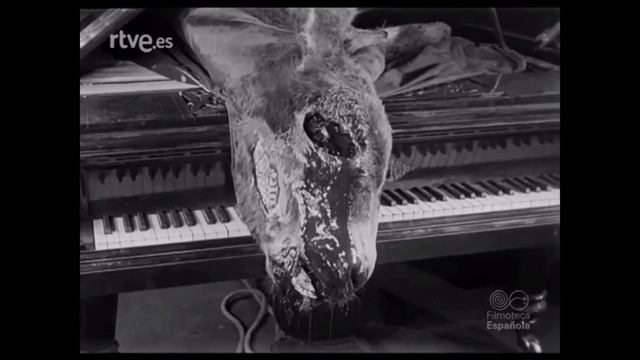 Un perro andaluz (Un chien andalou, 1929) Luis Buñuel, Salvador Dalí - Película completa HD смотреть онлайн