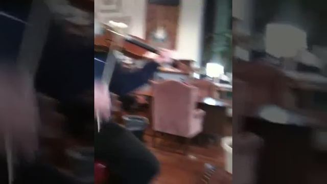 Ted The Fiddler - Bob Adamski - The ImaginAIRium 's House Band