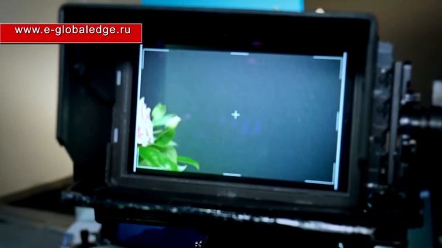 Компания "Ikegami" смотреть онлайн