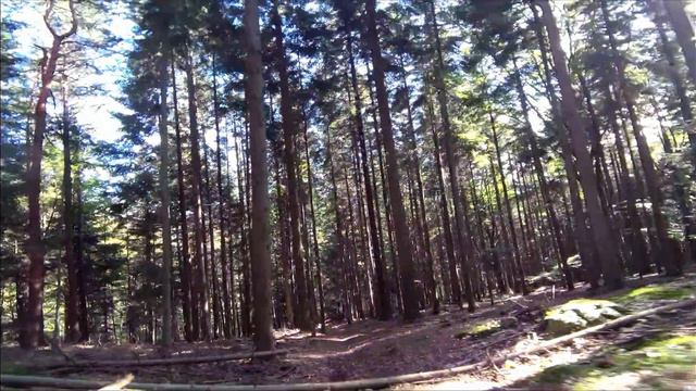 Drone Cinewhoop Bugs 4W 4k crash 💥🤪 смотреть онлайн