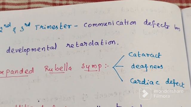Rubella Virus смотреть онлайн