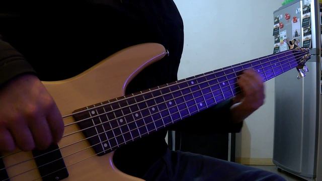 Que levante la mano - bass cover Ibanez gio Gsr 306 смотреть онлайн
