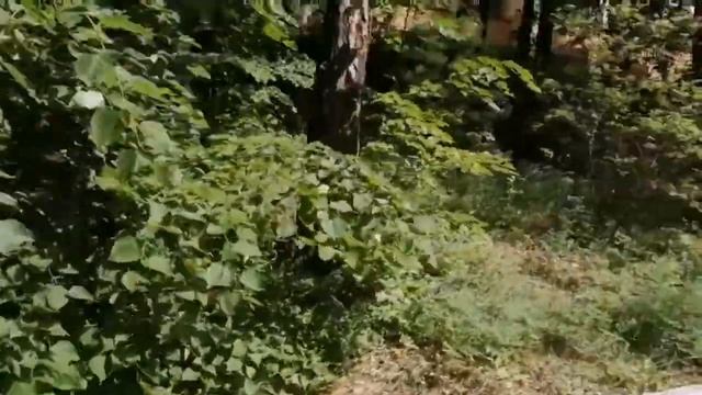 Уральские зори Чебаркуль смотреть онлайн