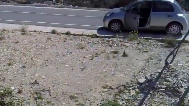 Ослик на Кипре